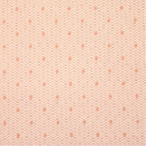 Pinkki elisabeth erä