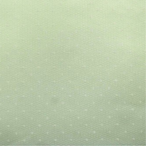 Vihreä Elisabeth Erä