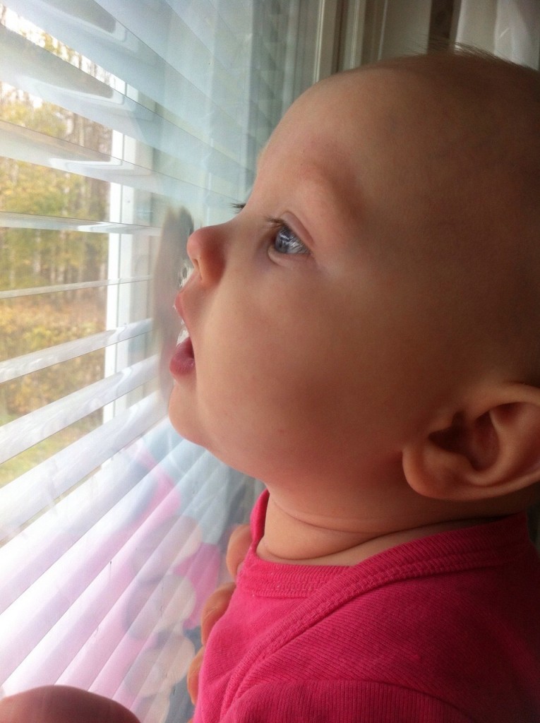 Alumiinisälekaihdin MSE-ikkunaan - Image 6